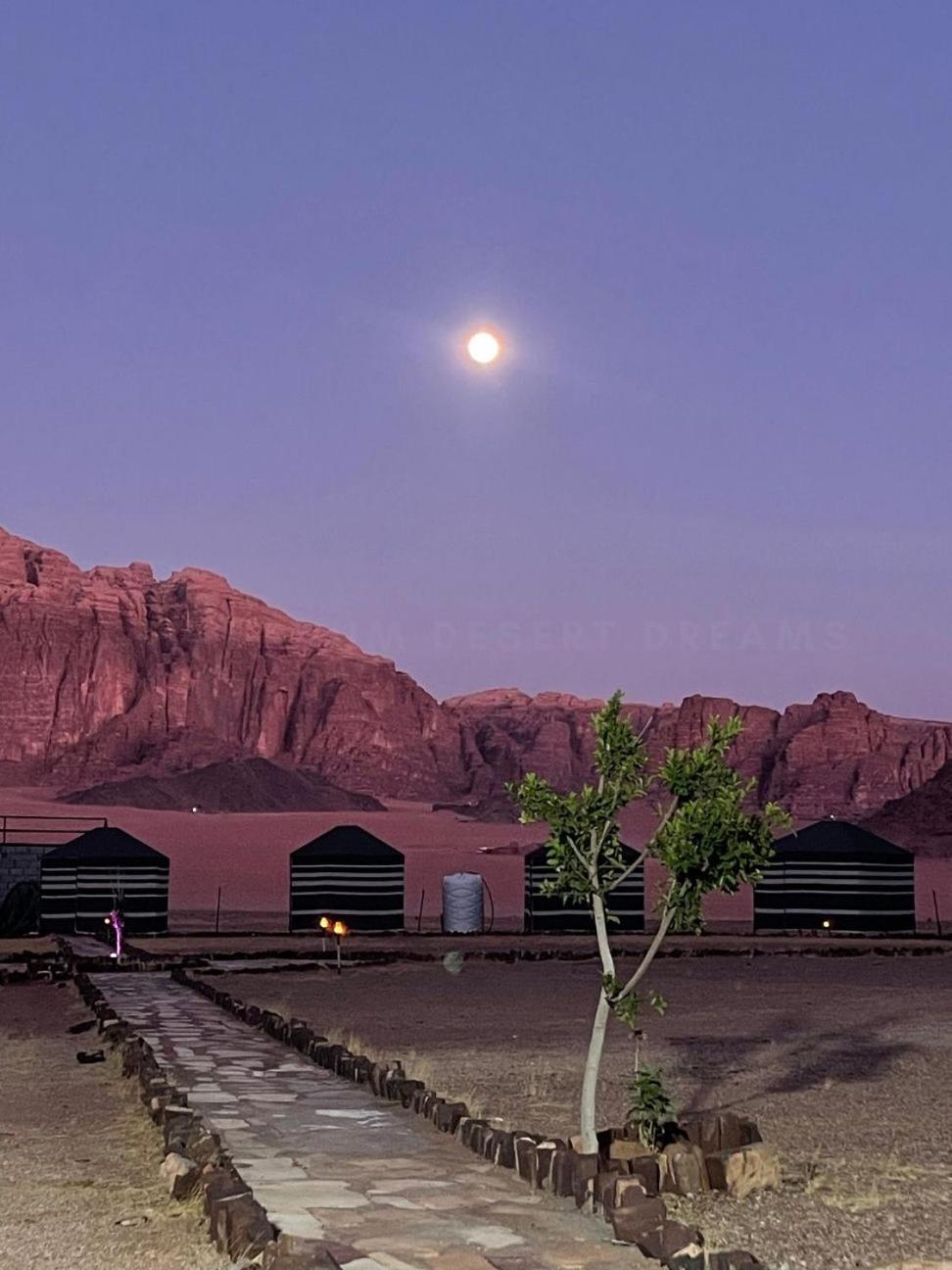 Wadi Rum Desert Nights Hotel Exterior photo